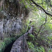 Walking Tour 3: Madeira Hiking around the island