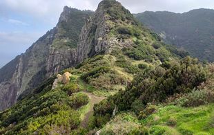  / Walking Tour 1: Madeira Hiking in the northeast