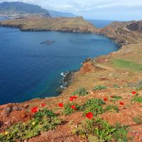 Walking Tour 3: Madeira Hiking around the island