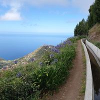 Wandertour 2 : Madeira Wandern im Südwesten