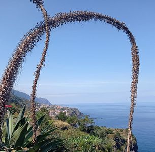 Madeira Mietwagenrundreise Küsten, 9 Tage