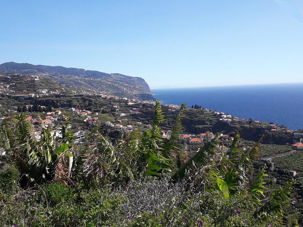 Blick auf die Nordküste Madeiras