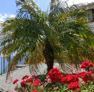 Casa da Ladeira