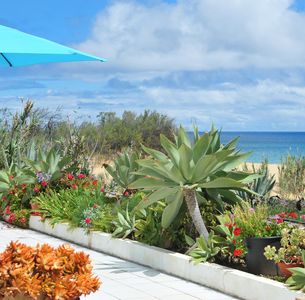Vila Theresia Porto Santo***