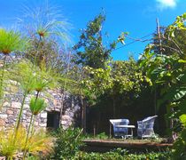 Casas Horta & Cascata & Vaca