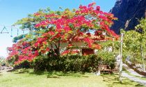 Villa (2-4 Personen)