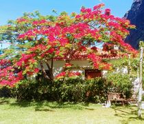 Villa (2-4 Personen)