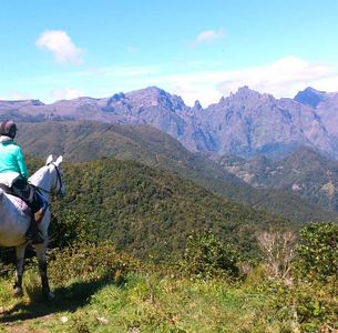 Horse riding on Madeira Island
