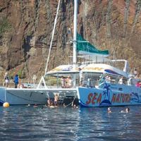 Delfin- und Walbeobachtung ab Funchal