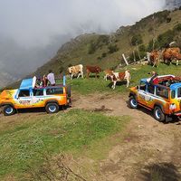 Green Devil Jeep Safari - Private Tours