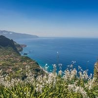 Private tour guide in Madeira